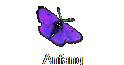 Anfang