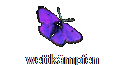 wettkmpfen