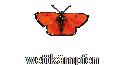 wettkmpfen